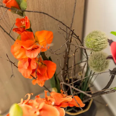 Jurina Проживание в семье *